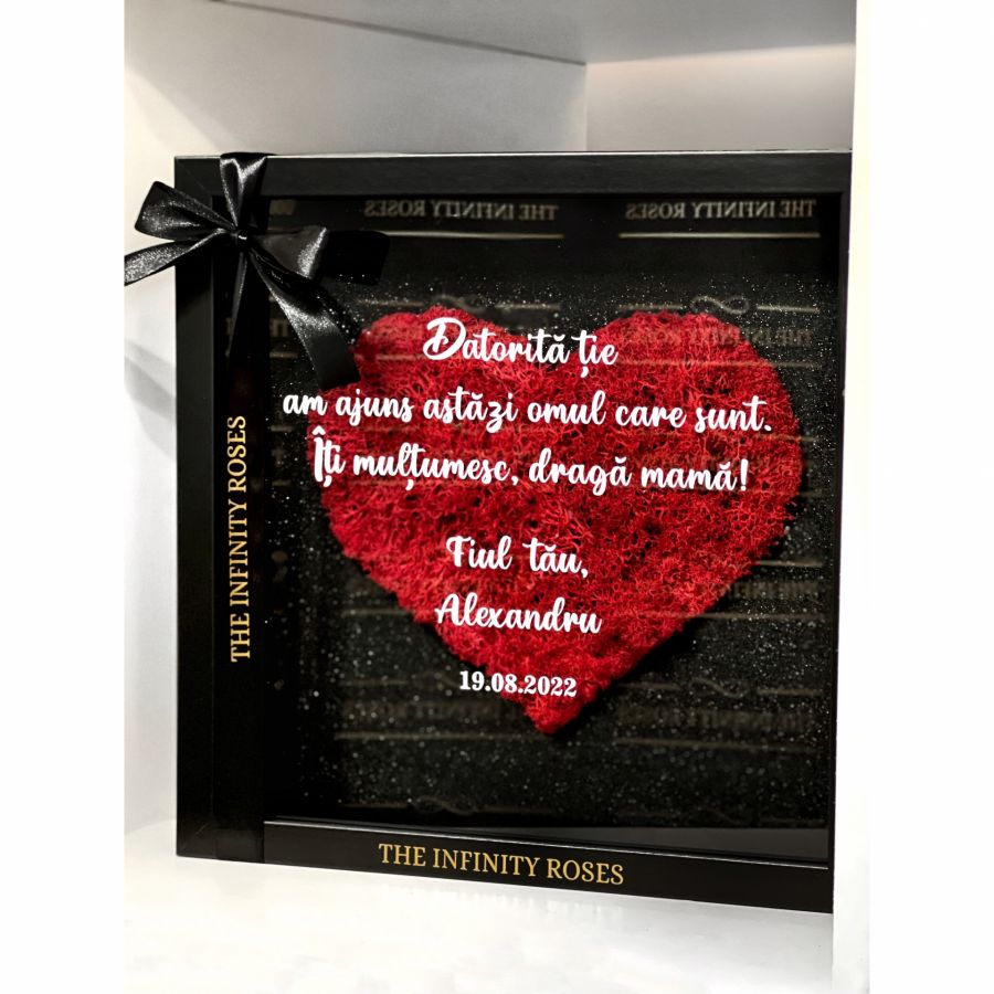 Cutie cadou pentru nasi cu mesajul ” Vreti sa fiti nasii nostri ? “ Tablou cu inimioara din licheni rosii cu mesaj personalizat pentru mama