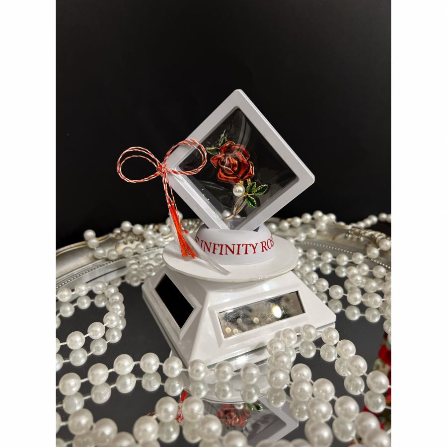 Rama foto cu inimioara din licheni rosii cu mesaj personalizat pentru mama Martisor cu brosa trandafir in suport 3D