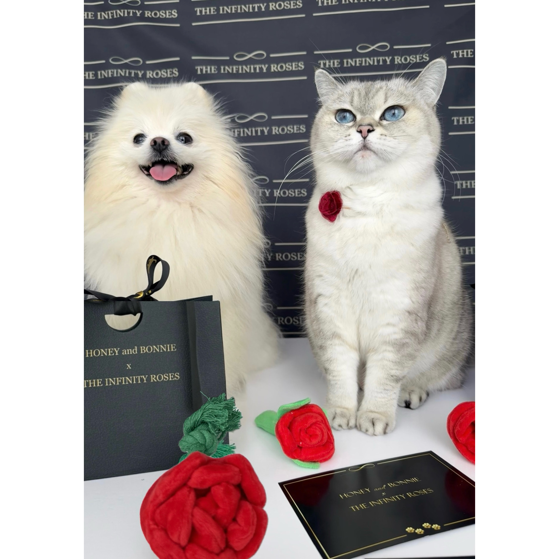 Set 2 jucarii interactive trandafir cu recompense si catnip pentru catei si pisici