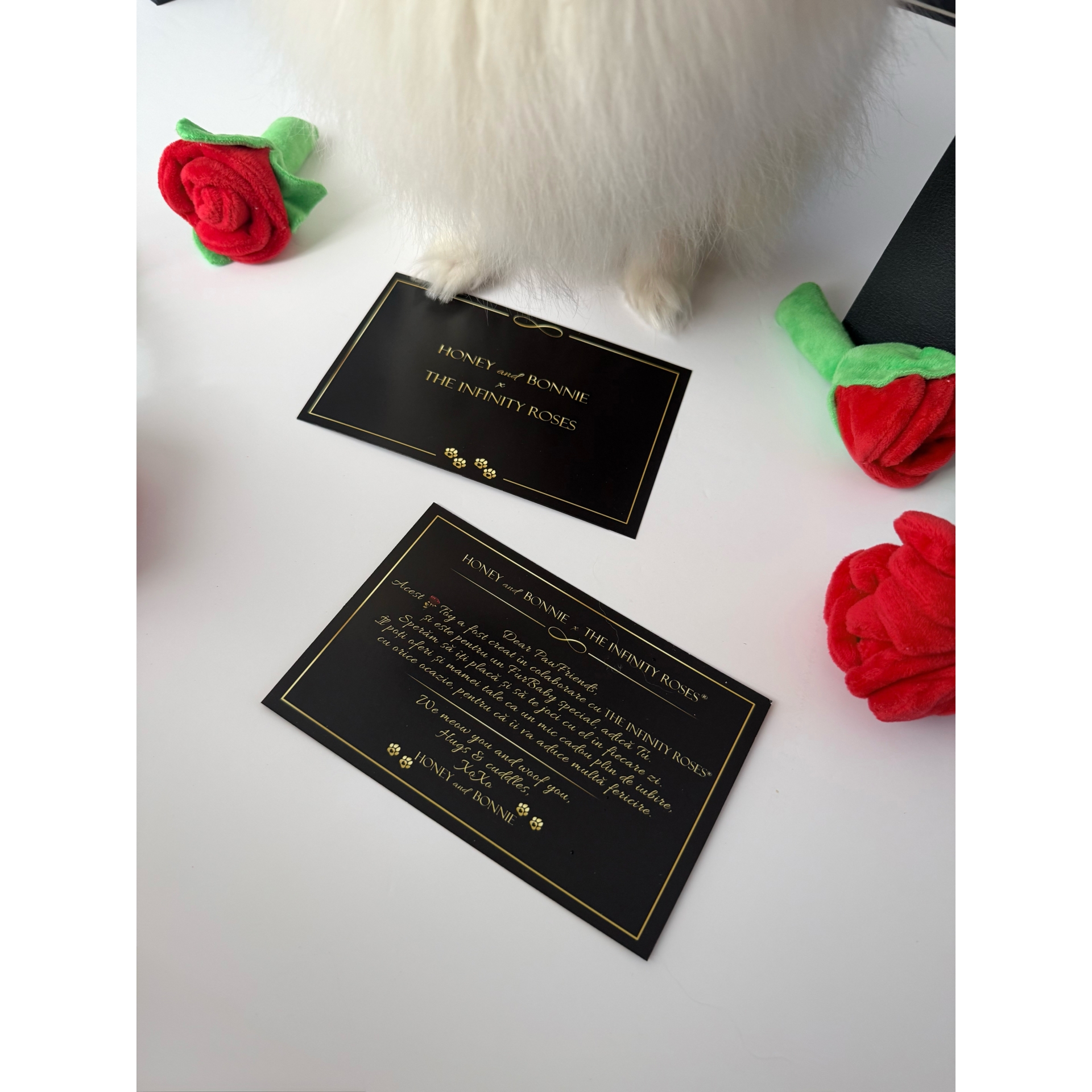 Set 2 jucarii interactive trandafir cu recompense si catnip pentru catei si pisici