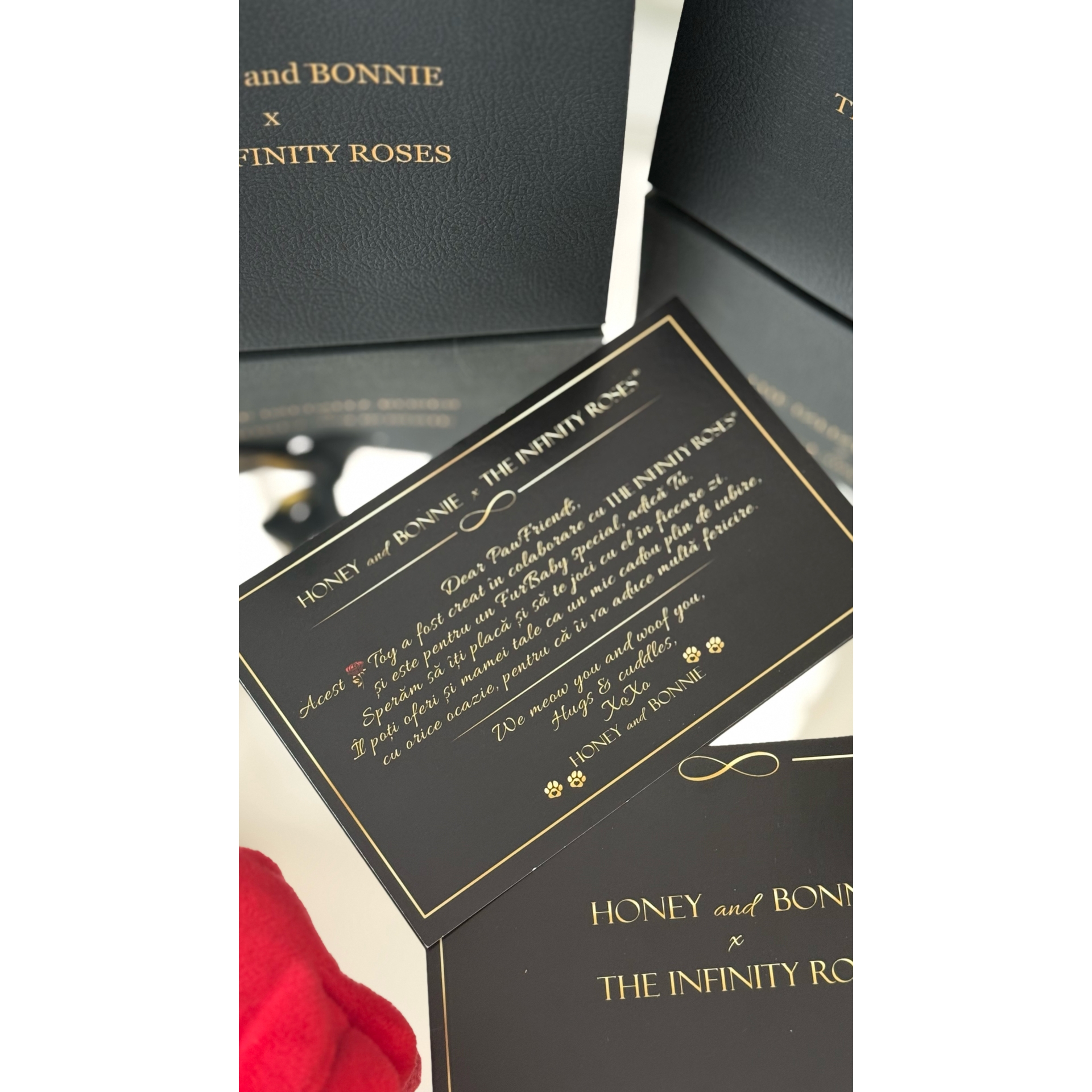 Jucarie interactiva trandafir cu recompense si catnip pentru catei si pisici