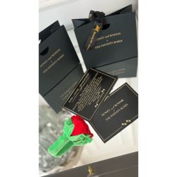 Jucarie interactiva trandafir cu recompense si catnip pentru catei si pisici