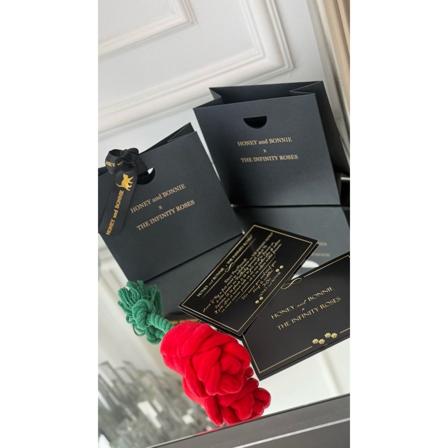  Jucarie interactiva trandafir cu recompense si catnip pentru catei si pisici