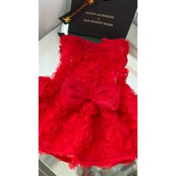 Rochie rosie cu trandafiri 3D pentru catei si pisici XS-S-M