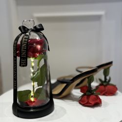 Trandafir in cupola cu lumini led