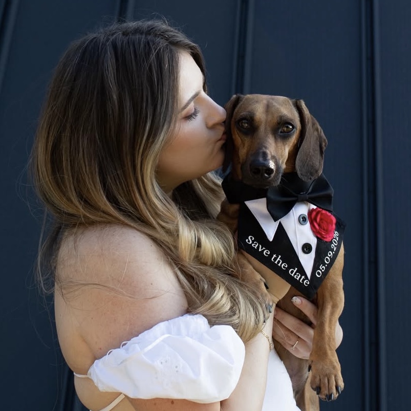Bandană elegantă pentru animale: câini și pisici, „Save the Date”, personalizată cu data nunții.
