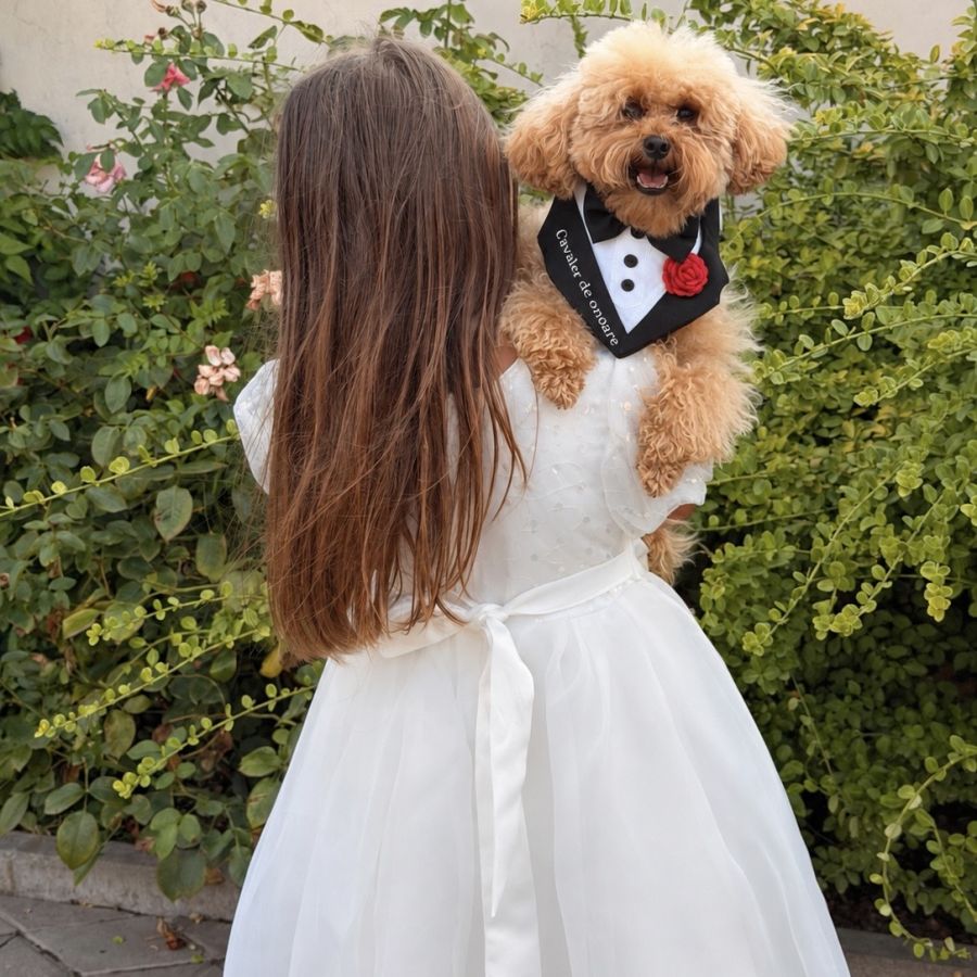 Bandana tuxedo eleganta pentru gat pentru catei si pisici cavaler de onoare