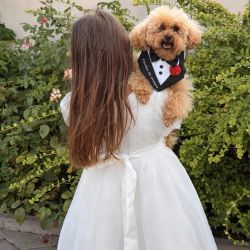 Ham tuxedo elegant pentru catei si pisici cavaler de onoare