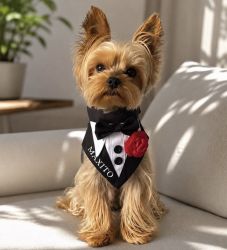 Bandana tuxedo eleganta pentru catei si pisici personalizat cu numele blanosului