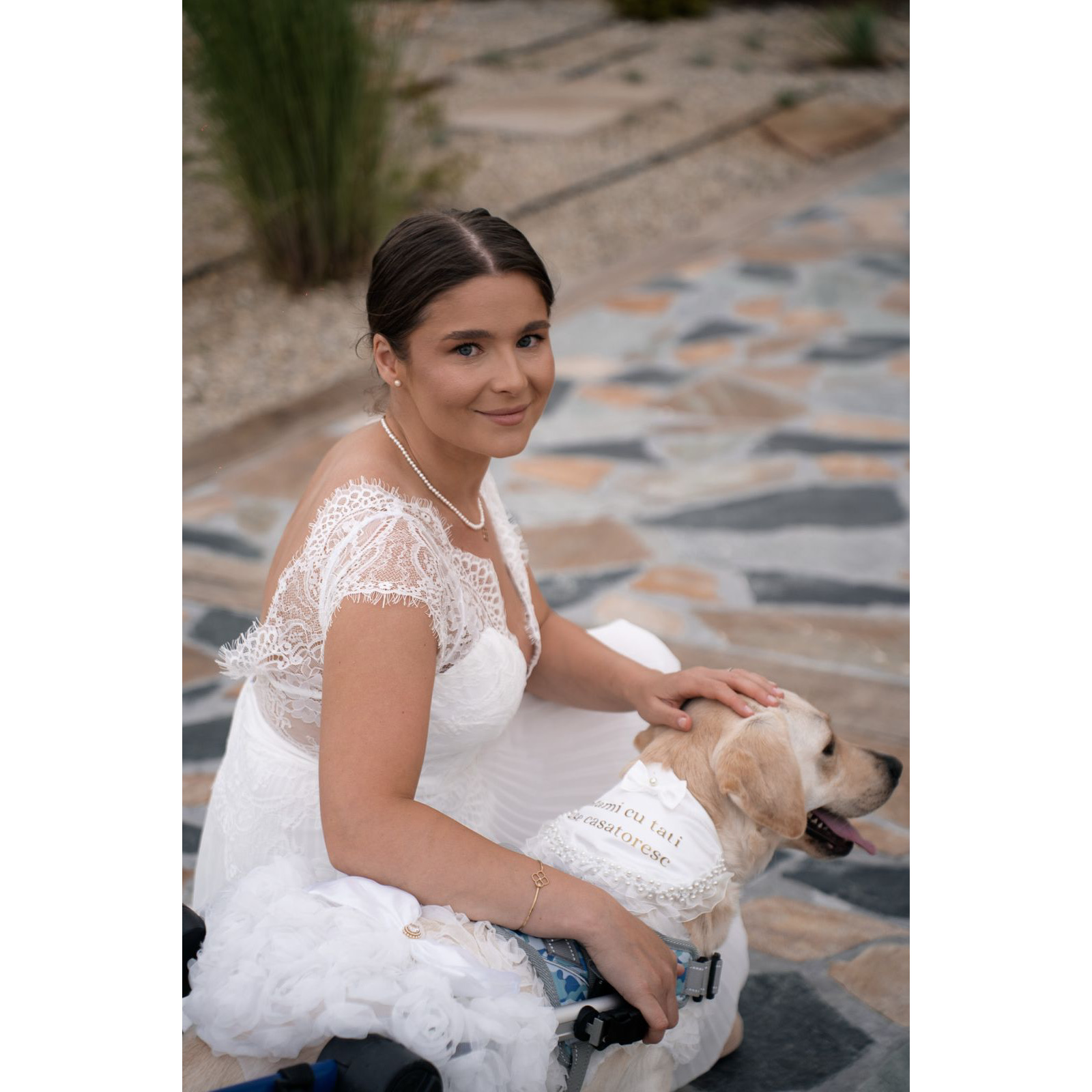 Bandană elegantă pentru câini și pisici, „Mami cu tati se căsătoresc”