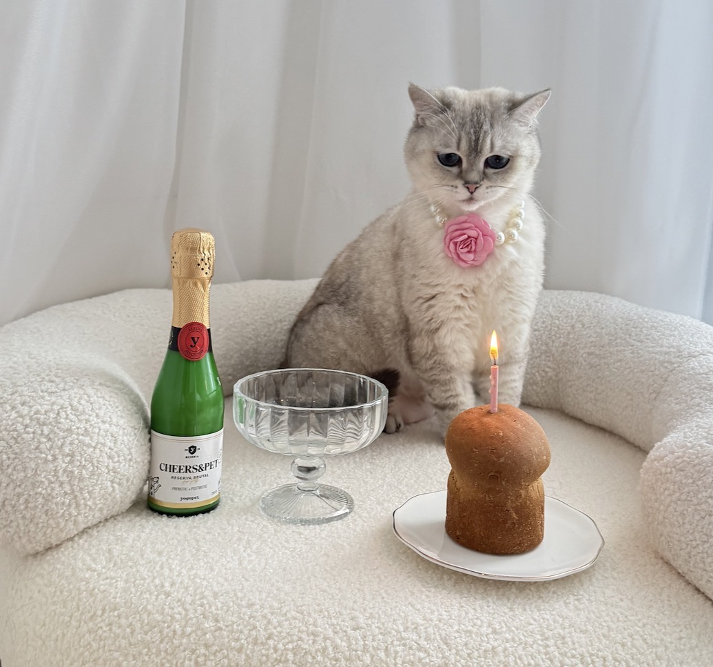 Sampanie pentru caini si pisici CHEERS&PET Reserva Brutal, Prebiotic + Postbiotic, 200 g,transport inclus