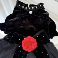 Rochita neagra din catifea pentru caini si pisici, cu funda, perle si trandafir rosu, tinuta eleganta de ocazie S-M