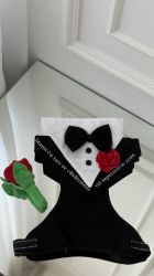 Ham Tuxedo personalizat pentru caini si pisici, Mami cu tati se casatoresc si data nuntii
