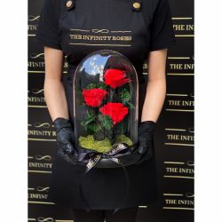 Dom de sticla cu 3 trandafiri criogenati rosii