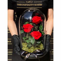 Dom de sticla cu 3 trandafiri criogenati rosii