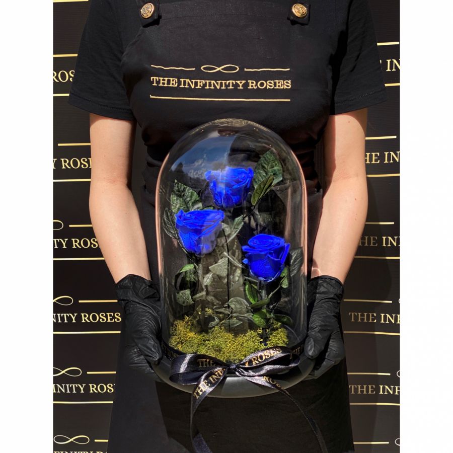 Cutie medie personalizata cu CHANEL din trandafiri criogenati Dom de sticla cu 3 trandafiri criogenati albastri