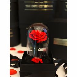 Dom de sticla cu 1 trandafiri criogenat rosu si cutie