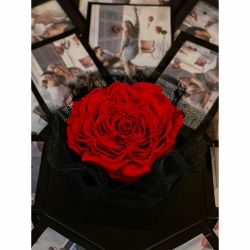 Cutie exploziva cu 24 de fotografii si cu un trandafir criogenat