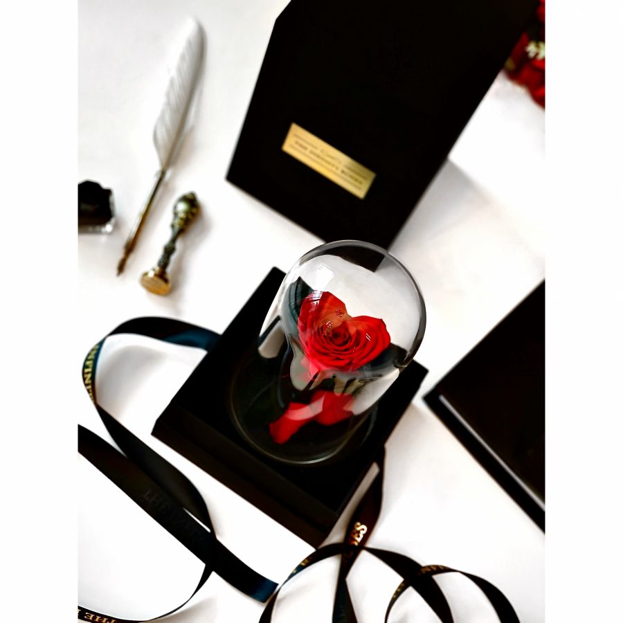 Inimioara rosie din trandafiri 45 cm inaltime Dom de sticla cu 1 trandafir inima criogenat rosu si cutie