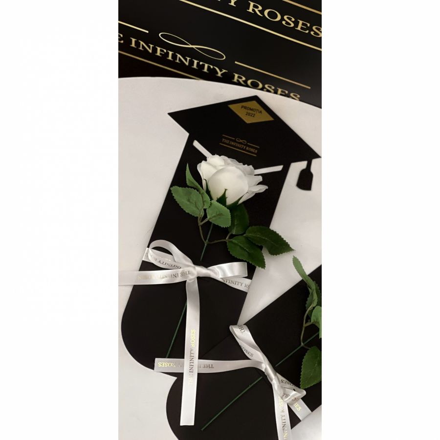 Catelus absolvent cu pergament in cutie cu trandafiri  Holder suport absolvire cu un trandafir de sapun